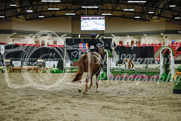 2025 - Haylee - Royal West - Monday October 20th - 00268