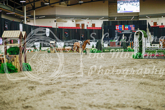 2025 - Haylee - Royal West - Monday October 20th - 00352