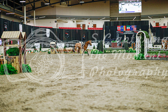 2025 - Haylee - Royal West - Monday October 20th - 00353