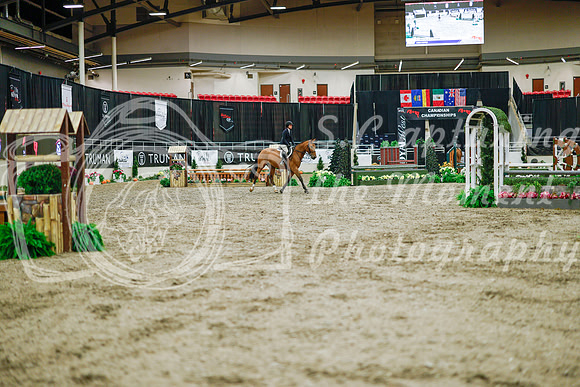2025 - Haylee - Royal West - Monday October 20th - 00355