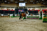 2025 - Haylee - Royal West - Monday October 20th - 00182