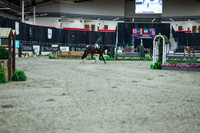 2025 - Shea - Royal West - Monday October 20th - 04096