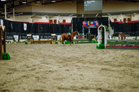 2025 - Haylee - Royal West - Monday October 20th - 00142