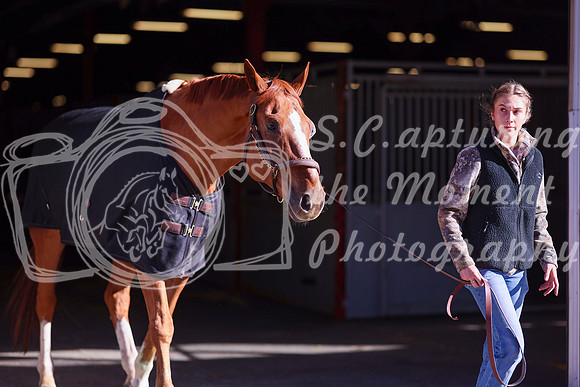 2025 - Shea - Royal West - Monday October 20th - 03460