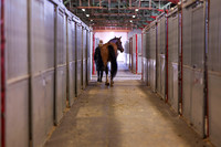 2025 - Shea - Royal West - Monday October 20th - 03462