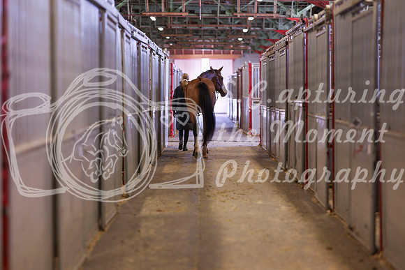 2025 - Shea - Royal West - Monday October 20th - 03462