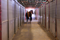 2025 - Shea - Royal West - Monday October 20th - 03464