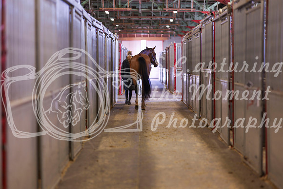 2025 - Shea - Royal West - Monday October 20th - 03464