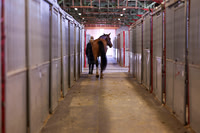 2025 - Shea - Royal West - Monday October 20th - 03463