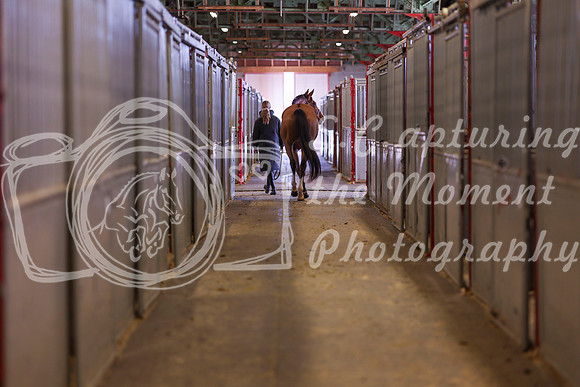 2025 - Shea - Royal West - Monday October 20th - 03465