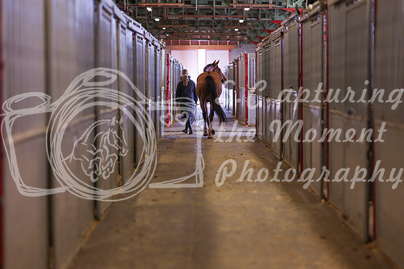 2025 - Shea - Royal West - Monday October 20th - 03467