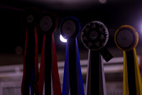2025 - Shea - Royal West - Monday October 20th - 03469