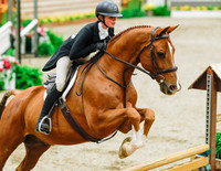 Canadian Hunter Derby Phase II