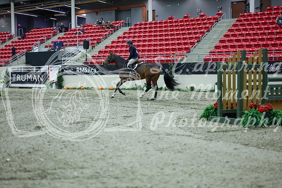 2025 - Shea - Royal West - Monday October 20th - 04375