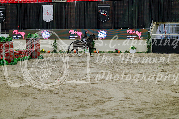 2025 - Haylee - Royal West - Monday October 20th - 05895
