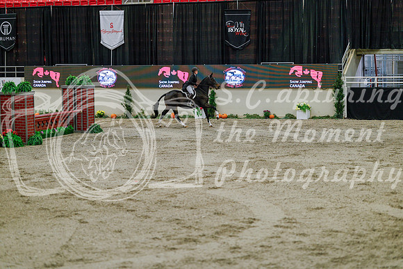 2025 - Haylee - Royal West - Monday October 20th - 05894