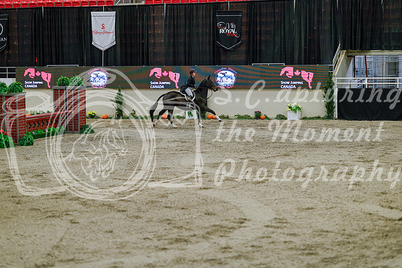 2025 - Haylee - Royal West - Monday October 20th - 05896