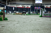 2025 - Shea - Royal West - Monday October 20th - 04145