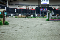 2025 - Shea - Royal West - Monday October 20th - 04146