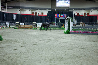 2025 - Shea - Royal West - Monday October 20th - 04148