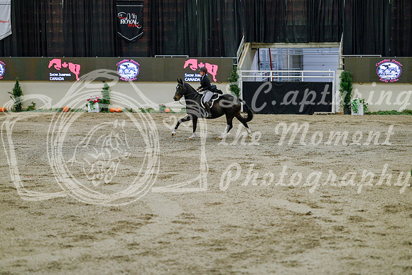 2025 - Haylee - Royal West - Monday October 20th - 05911