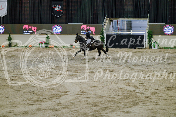2025 - Haylee - Royal West - Monday October 20th - 05912