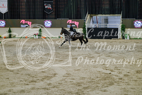2025 - Haylee - Royal West - Monday October 20th - 05913