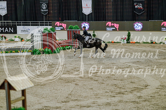 2025 - Haylee - Royal West - Monday October 20th - 05915