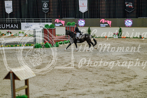 2025 - Haylee - Royal West - Monday October 20th - 05918