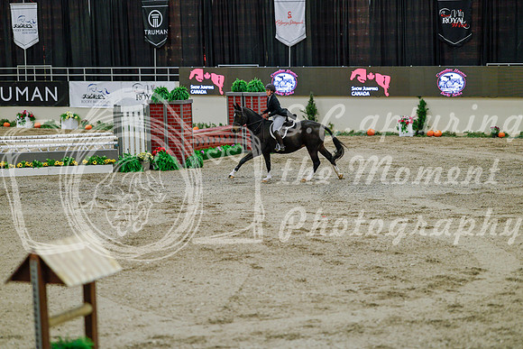 2025 - Haylee - Royal West - Monday October 20th - 05917