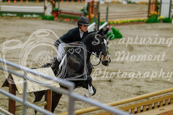 2025 - Haylee - Royal West - Monday October 20th - 05919