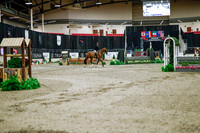 2025 - Haylee - Royal West - Monday October 20th - 02787