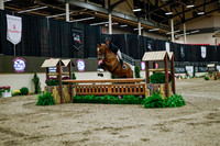 2025 - Haylee - Royal West - Monday October 20th - 02796