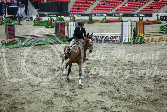 2025 - Shea - Royal West - Monday October 20th - 07519