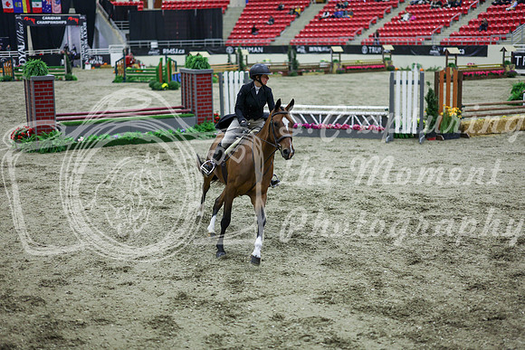 2025 - Shea - Royal West - Monday October 20th - 07518