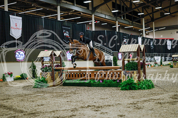 2025 - Haylee - Royal West - Monday October 20th - 02801