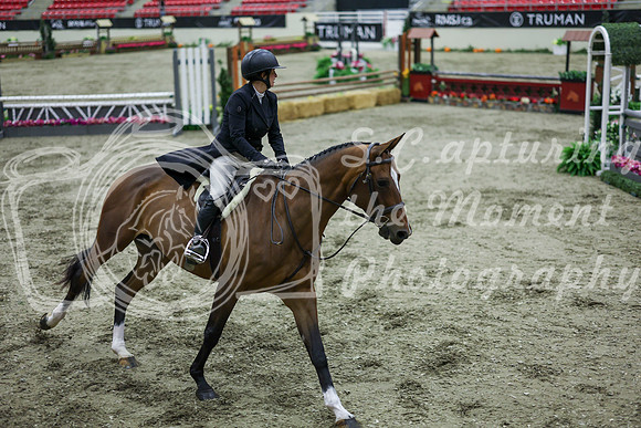 2025 - Shea - Royal West - Monday October 20th - 07526
