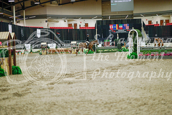 2025 - Haylee - Royal West - Monday October 20th - 01013