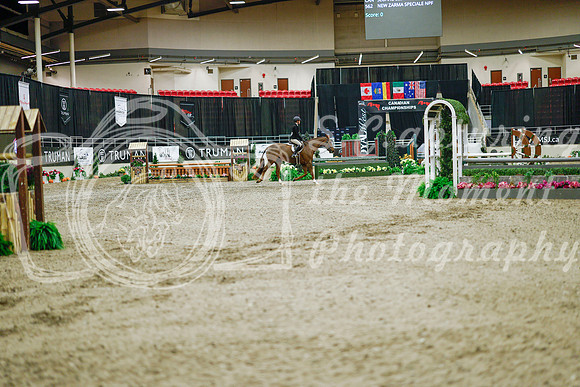 2025 - Haylee - Royal West - Monday October 20th - 01017