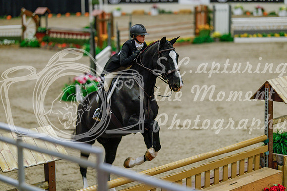 2025 - Haylee - Royal West - Monday October 20th - 06686