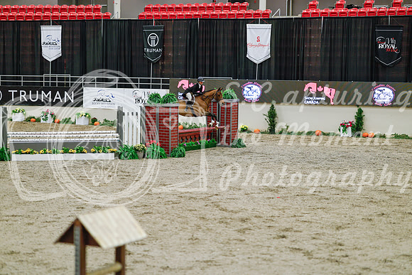 2025 - Haylee - Royal West - Monday October 20th - 04811