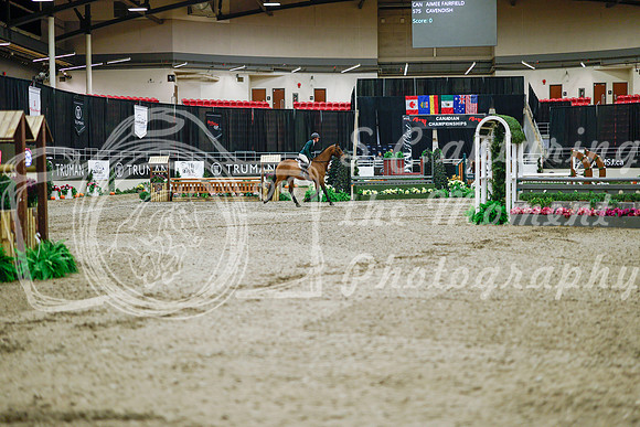 2025 - Haylee - Royal West - Monday October 20th - 02741