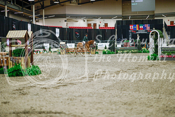 2025 - Haylee - Royal West - Monday October 20th - 02750