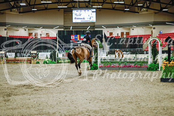 2025 - Haylee - Royal West - Monday October 20th - 00805