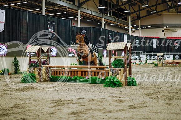 2025 - Haylee - Royal West - Monday October 20th - 00812