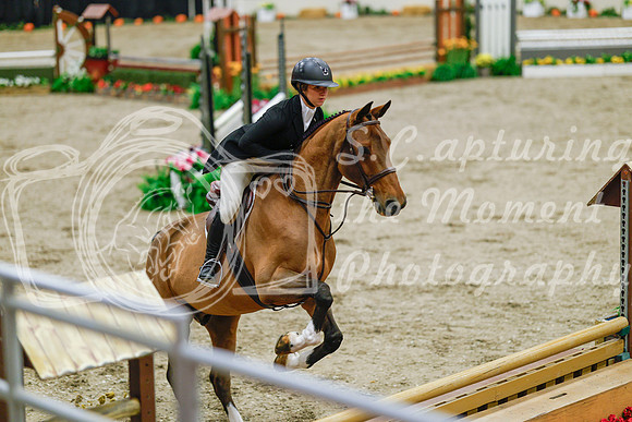 2025 - Haylee - Royal West - Monday October 20th - 04834