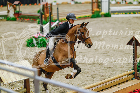 2025 - Haylee - Royal West - Monday October 20th - 04836