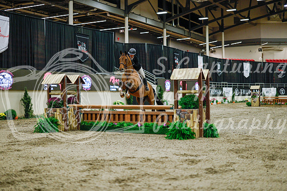 2025 - Haylee - Royal West - Monday October 20th - 00813