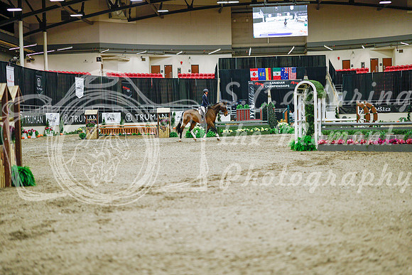 2025 - Haylee - Royal West - Monday October 20th - 00842
