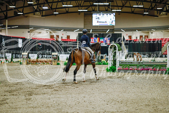 2025 - Haylee - Royal West - Monday October 20th - 00849